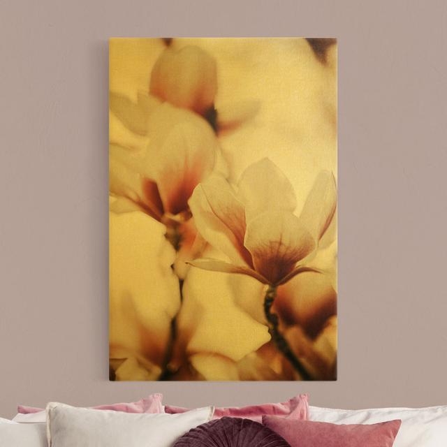 Leinwandbild Zarte Magnolienblüten im Spiel des Lichts von Monika Strigel Ebern Designs Größe: 90 cm H x 60 cm B, Format: 435g/m³ Canvas Gold, Farbe: on Productcaster.