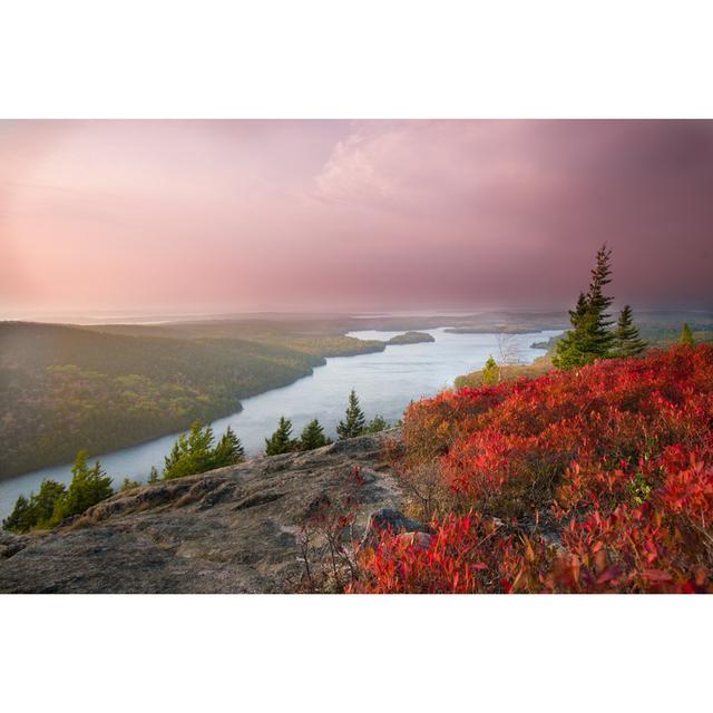 Acadia National Park by Douglas Rissing - Wrapped Canvas Art Prints Alpen Home Size: 51cm H x 76cm W on Productcaster.