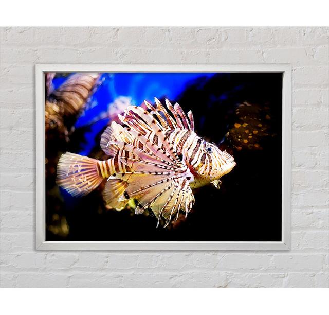 Sea Life - Print Bright Star Size: 84.1cm H x 118.9cm W x 3.3cm D on Productcaster.