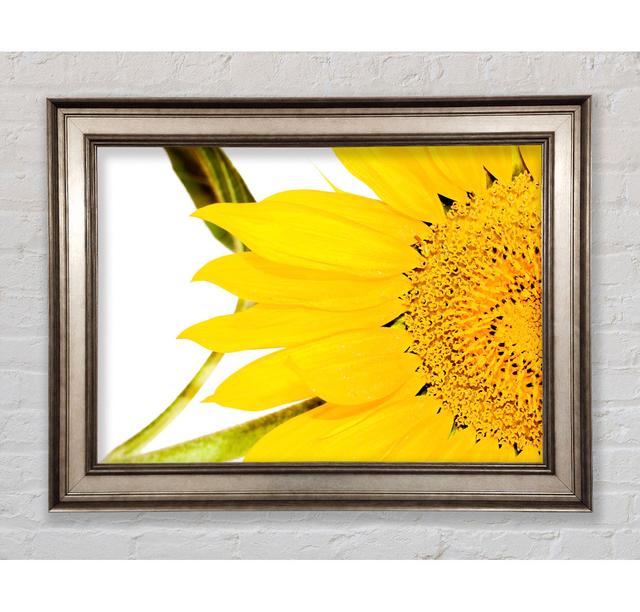 Close-Up Petal Sunflower Framed Print Bright Star Size: 59.7cm H x 84.1cm W on Productcaster.