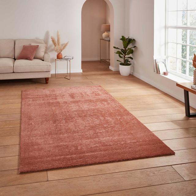 Cove Shaggy Soft Washable Plain Rug - Terracotta - 160X230 Latitude Run Rug Size: Rectangle 80 x 150cm on Productcaster.