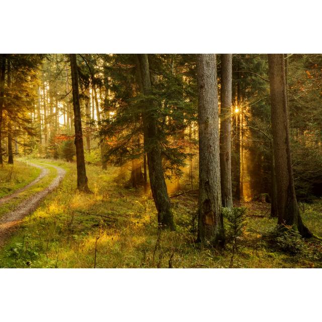 Black Forest by Andreas_Zerndl - Wrapped Canvas Photograph Alpen Home Size: 81cm H x 122cm W on Productcaster.