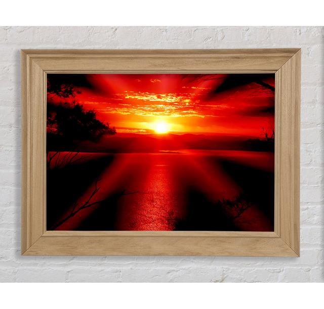 Single Picture Frame Art Prints Bright Star Size: 59.7cm H x 84.1cm W on Productcaster.