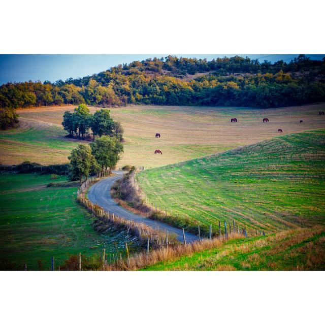 Autumn Pasture. Basque Country. Spain by Sima_ha - No Frame Art Prints on Canvas Latitude Run Size: 20cm x 30cm W on Productcaster.