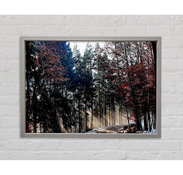 Forest Road In Winter - Print Union Rustic Size: 59.7cm H x 84.1cm W on Productcaster.