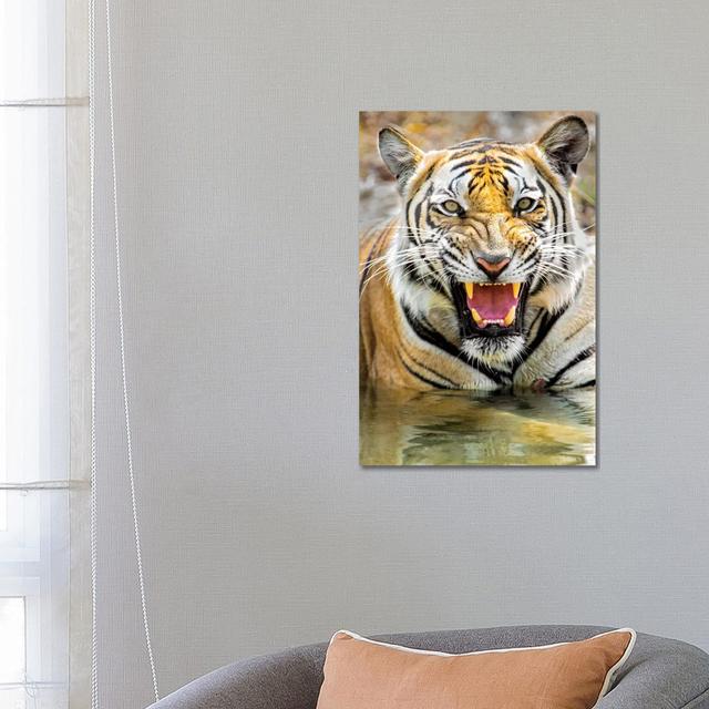 Roaring Bengal Tiger, India - Wrapped Canvas Print Latitude Run Size: 66.04cm H x 45.72cm W x 3.81cm D on Productcaster.