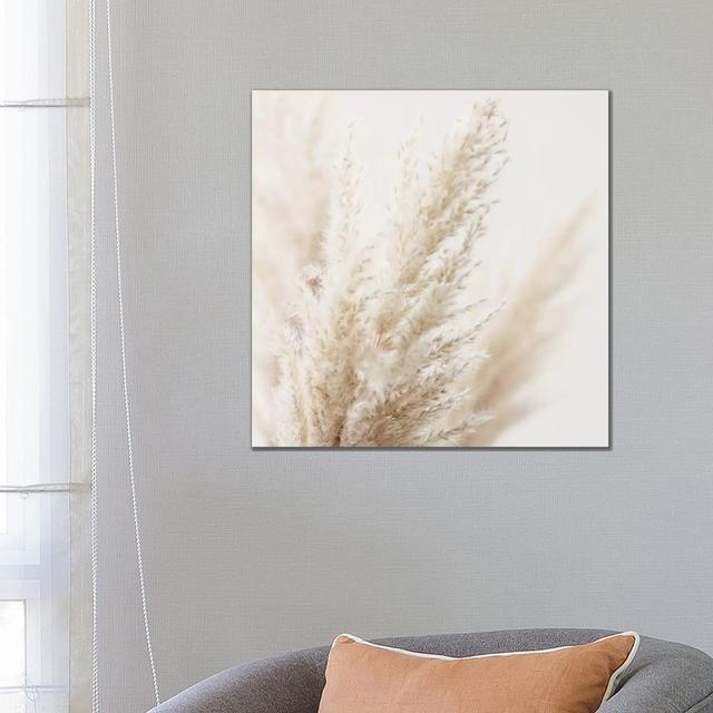 Pampas Reed III Square by Monika Strigel - Wrapped Canvas Print ClassicLiving Size: 66.04cm H x 66.04cm W x 1.9cm D on Productcaster.