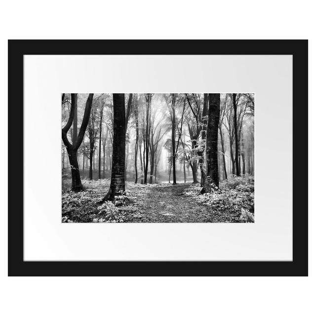 Gerahmtes Poster Sunny Path in the Forest East Urban Home Größe: 30 cm H x 38 cm B on Productcaster.