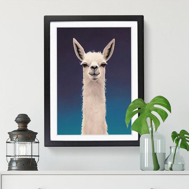 Face Of A Llama Vol.3 - Print Isabelle & Max Size: 64cm H x 46cm W x 2cm D, Frame Option: Walnut on Productcaster.