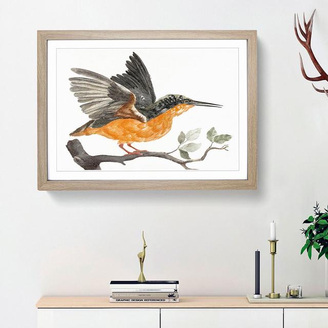 Kingfisher by Johan Teyler - Picture Frame Graphic Art Print East Urban Home Size: 27cm H x 36cm W x 2cm D, Frame Option: Oak Framed on Productcaster.