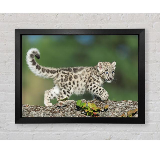 Leopard Cub Walking A Branch - Single Picture Frame Art Prints Bright Star Size: 100cm H x 141.4cm W x 3.4cm D on Productcaster.