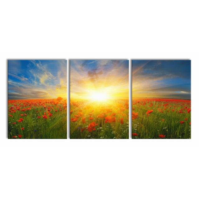 Poppy Field in the Sun - 3 Piece Wrapped Canvas Photograph Print Set East Urban Home Size: 180 cm H x 80 cm W x 2.4 cm D on Productcaster.