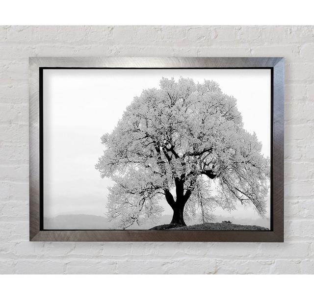 Blossomed Tree - Print Ebern Designs Size: 59.7cm H x 84.1cm W x 3.4cm D, Format: Silver Framed Paper on Productcaster.