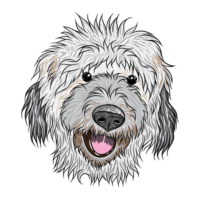 Portrait Of Labradoodle by Tigerstrawberry - Wrapped Canvas Print Rosalind Wheeler Size: 122cm H x 122cm W x 3.8cm D on Productcaster.