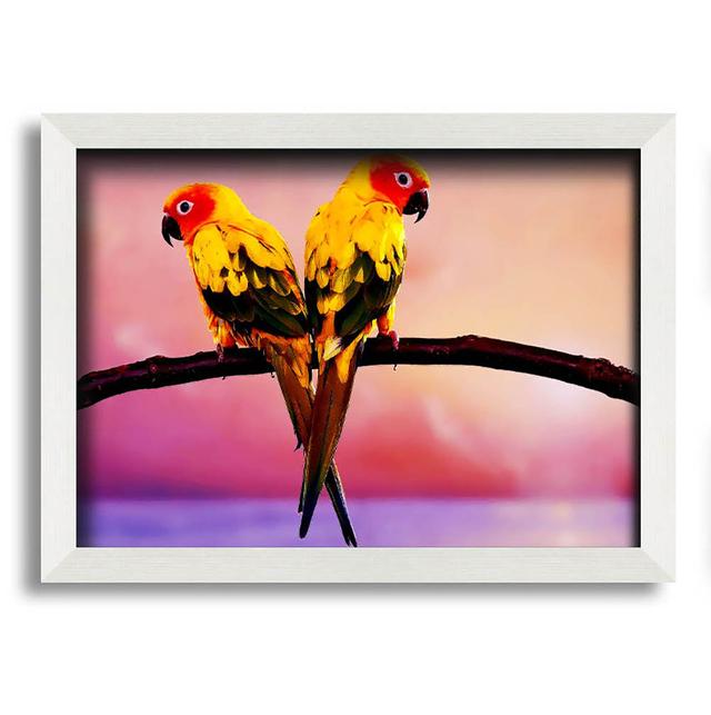 Rustemi Twin Parrots - Single Picture Frame Art Prints Pergo Classics Size: 29.7cm H x 42cm W x 10cm D on Productcaster.