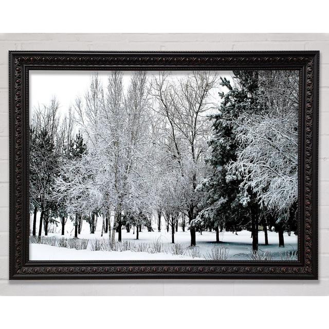 Winter In The Snow Forest - Single Picture Frame Art Prints Bright Star Size: 59.7cm H x 84.1cm W x 3cm D on Productcaster.