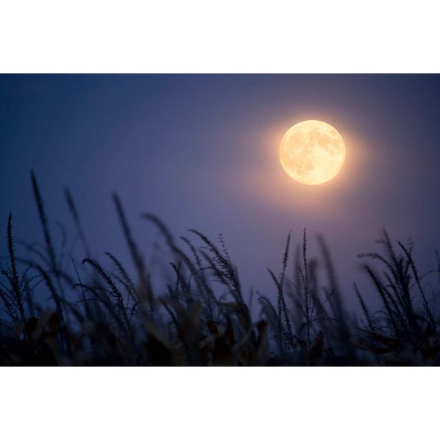 Harvest Moon - Print 17 Stories Size: 61cm H x 91cm W x 3.8cm D on Productcaster.