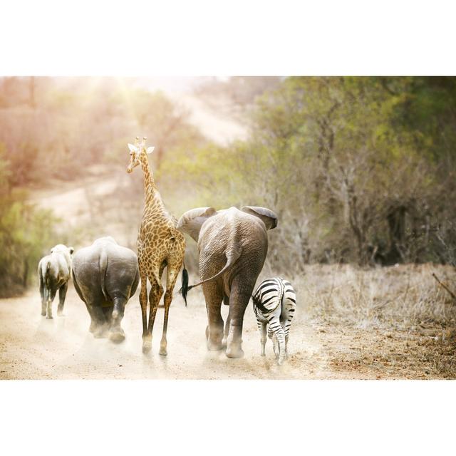 Africa Animal Safari - Wrapped Canvas Photograph 17 Stories Size: 61cm H x 91cm W x 3.8cm D on Productcaster.