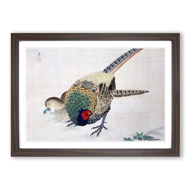 Pair of Pheasants by Maruyama Okyo - Picture Frame Painting Print East Urban Home Frame Option: Walnut Framed, Size: 48cm H x 65cm W x 2cm D on Productcaster.