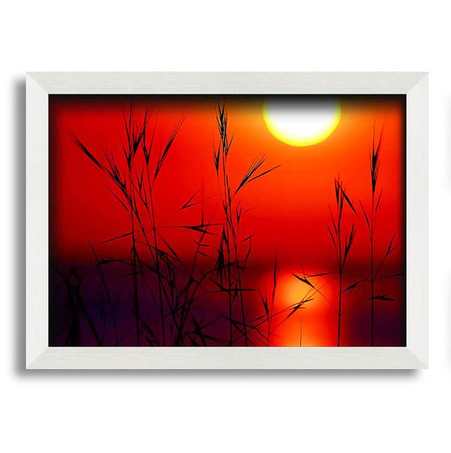 Olivette Sun Through the Red Reeds - Single Picture Frame Art Prints Latitude Run Size: 29.7cm H x 42cm W x 10cm D on Productcaster.