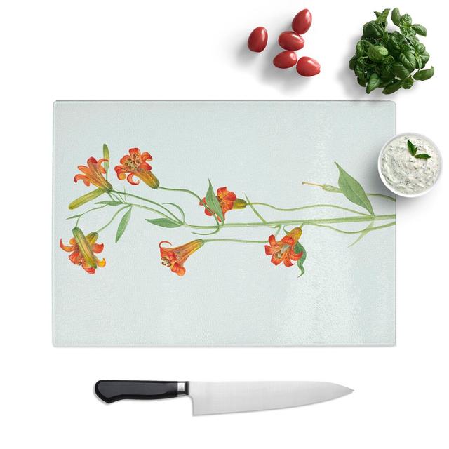 Small Tiger Lily by Mary Vaux Walcott Chopping Board East Urban Home Size: 0.4cm H x 28.5cm W x 39cm L on Productcaster.