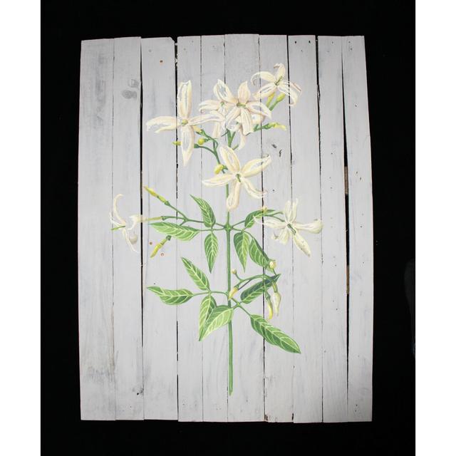 Jasmine Flower Graphic Art Print on Wood Brambly Cottage Size: 76cm H x 50cm W on Productcaster.