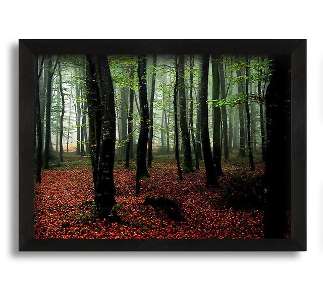 Emerald Forest Hide Away - Picture Frame Photograph on Canvas Union Rustic Size: 60cm H x 84cm W x 10cm D on Productcaster.