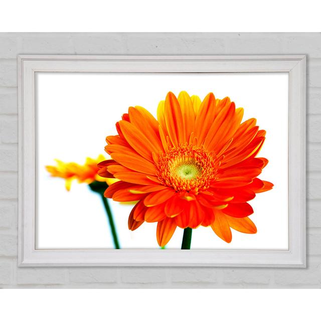 Orange Flames - Single Picture Frame Art Prints Brayden Studio Format: Gold Framed Paper, Size: 42cm H x 59.7cm W x 1.5cm D on Productcaster.