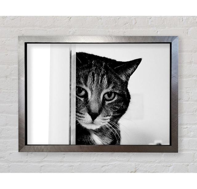 Cat Beauty - Single Picture Frame Art Prints Bright Star Size: 84.1cm H x 118.9cm W x 3.4cm D on Productcaster.