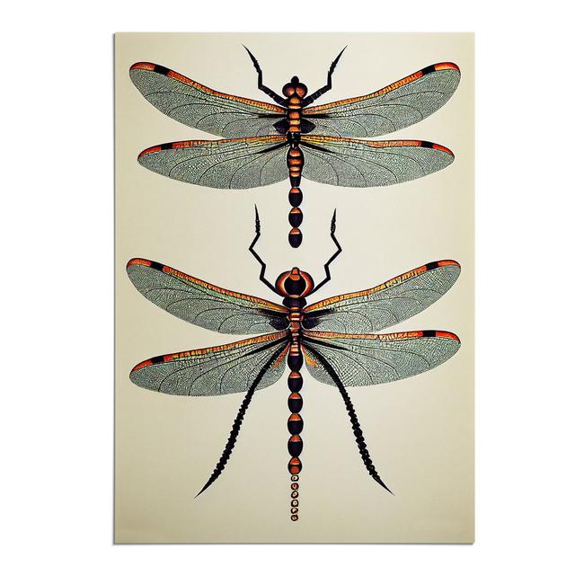 Classic Dragonflies - Print Brambly Cottage Matte Colour: No Matte, Size: 59.4cm H x 42cm W, Format: Paper on Productcaster.