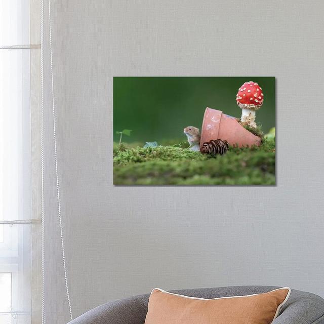 Waiting for Guests Harvest Mouse by Dean Mason - Photograph Print on Canvas Ebern Designs Size: 45.72cm H x 66.04cm W x 1.91cm D, Format: Wrapped Canv on Productcaster.