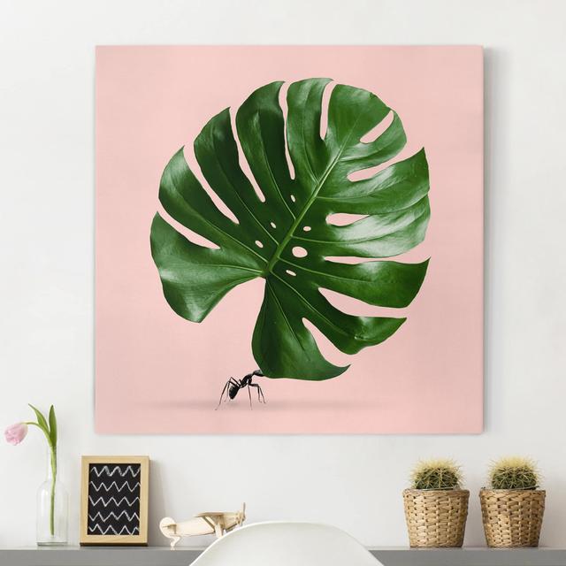 Leinwandbild Ameise mit Monstera Blatt von Jonas Loose Sansibar Home on Productcaster.