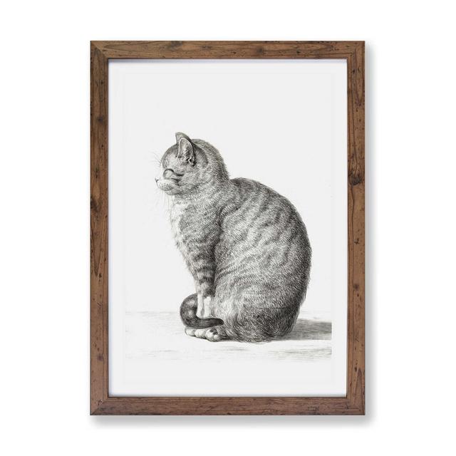 'A Sitting Cat' by Jean Bernard - Picture Frame Drawing Print on Paper East Urban Home Size: 24cm H x 33cm W x 2cm D, Format: Walnut Framed on Productcaster.