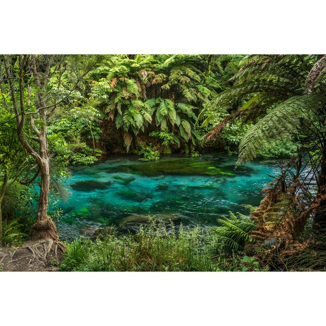 Te Waihou Walkway And Blue Spring Near Putaruru, New Zealand Ebern Designs Size: 61cm H x 91cm W x 3.8cm D on Productcaster.