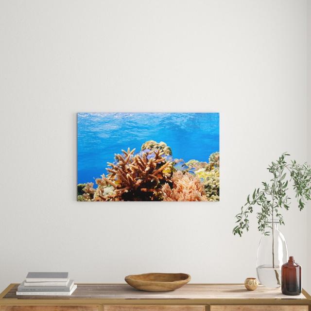 Leinwandbild Corals Reef East Urban Home Größe: 80 cm H x 120 cm B x 2 cm T on Productcaster.