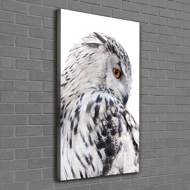 White Owl - Wrapped Canvas Art Print Union Rustic on Productcaster.