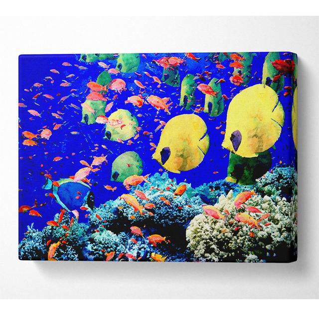 Life Below The Red Sea Egypt - Wrapped Canvas Art Prints House of Hampton Size: 81cm H x 121.9cm W x 10cm D on Productcaster.