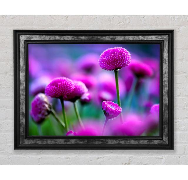 Remember Love - Single Picture Frame Art Prints Bright Star Size: 21cm H x 42cm W x 8cm D on Productcaster.