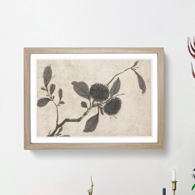 Branch of a Fruit Tree by Shen Zhou - Picture Frame Painting Print East Urban Home Frame Option: Oak Framed, Size: 48cm H x 65cm W x 2cm D on Productcaster.