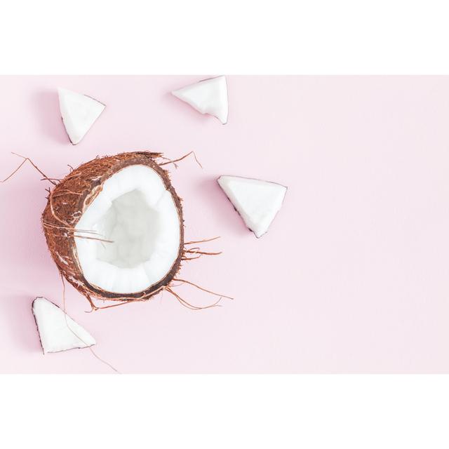 Coconut - Wrapped Canvas Photograph Bay Isle Home Size: 61cm H x 91cm W x 3.8cm D on Productcaster.