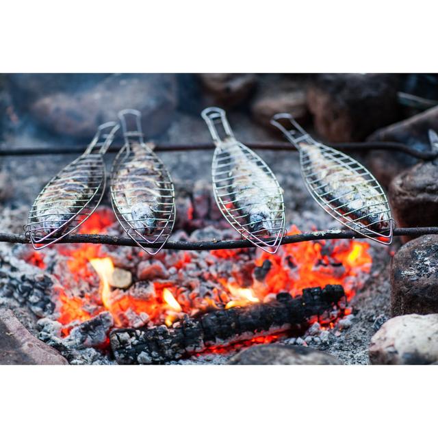 Grilling Fish On Campfire by ViktorCap - Wrapped Canvas Print 17 Stories Size: 51cm H x 76cm W on Productcaster.