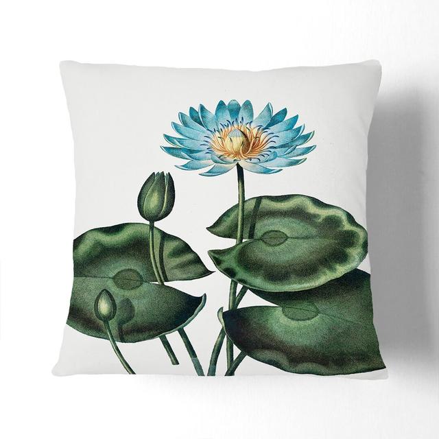 A Blue Egyptian Water Lily by R.J. Thornton Cushion with Filling East Urban Home Size: 55 x 55 cm, Backing Colour: White on Productcaster.