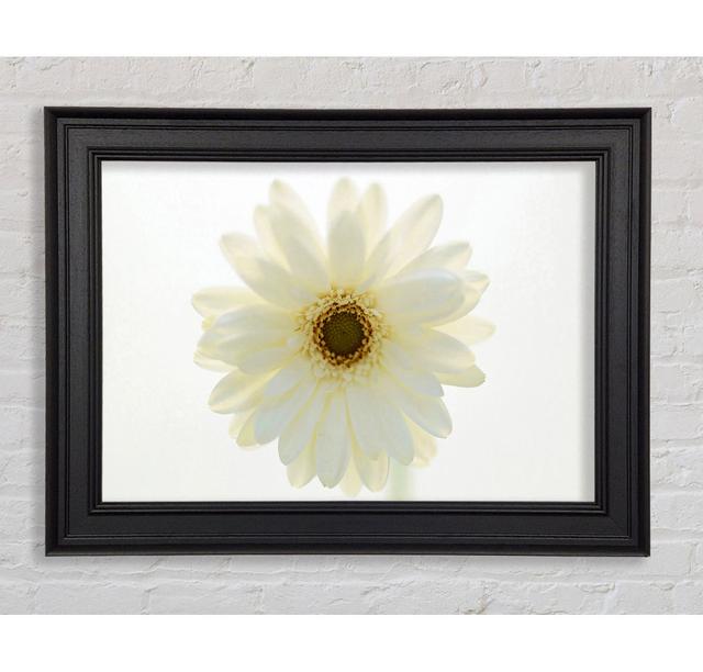 White On White Daisy Face - Single Picture Frame Art Prints Brayden Studio Size: 21cm H x 42cm W x 8cm D on Productcaster.