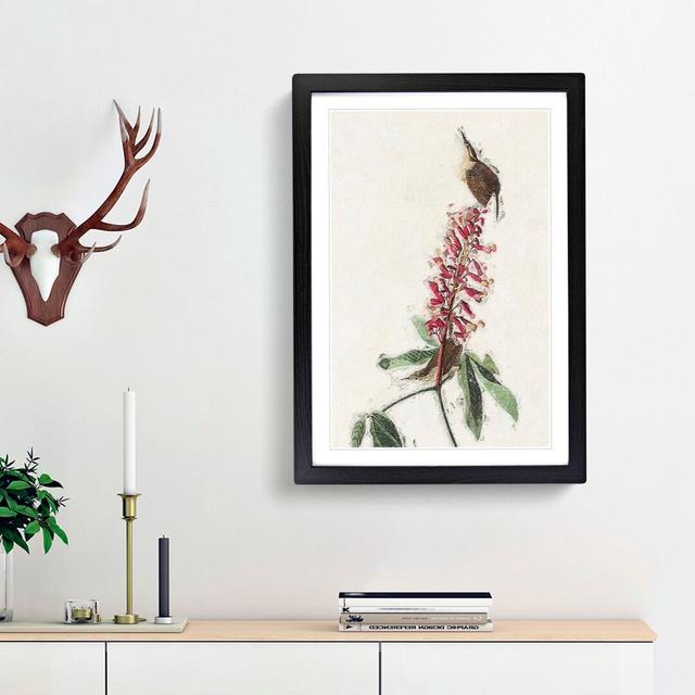 Great Carolina Wrens by John Audubon - Picture Frame Painting Print East Urban Home Frame Option: Black Framed, Size: 65cm H x 48cm W x 2cm D on Productcaster.