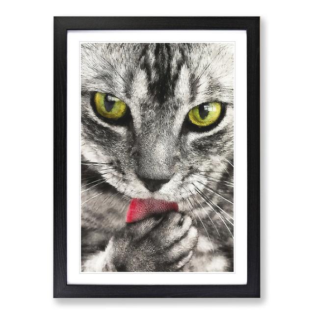 Portrait of a Cat Vol.9 - Picture Frame Painting East Urban Home Size: 65cm H x 48cm W x 2cm D, Frame Option: Black Framed on Productcaster.