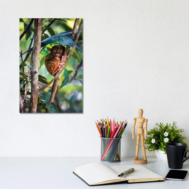 Tarsier, Philippines I by Matteo Colombo - Wrapped Canvas Gallery-Wrapped Canvas Giclée Latitude Run Size: 30.48cm H x 20.32cm W x 1.905cm D on Productcaster.