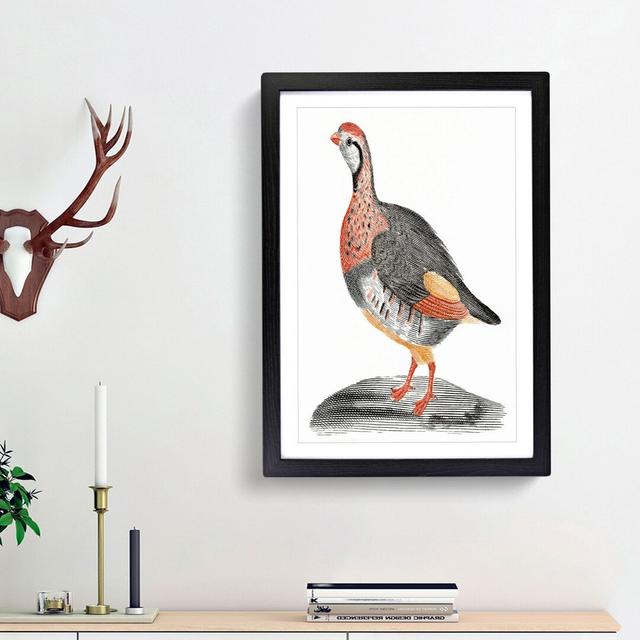 A Partridge by Johan Teyler - Picture Frame Painting Print on Paper East Urban Home Frame Option: Black Framed, Size: 33cm H x 24cm W x 2cm D on Productcaster.