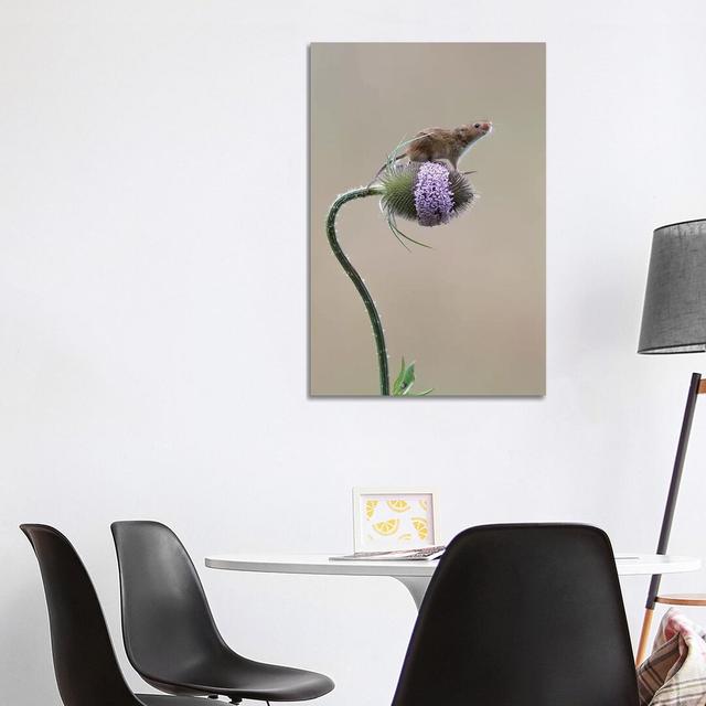 I Made It - Harvest Mouse by Dean Mason - Photograph Print on Canvas 17 Stories Format: Wrapped Canvas, Size: 101.6cm H x 66.04cm W x 3.81cm D on Productcaster.