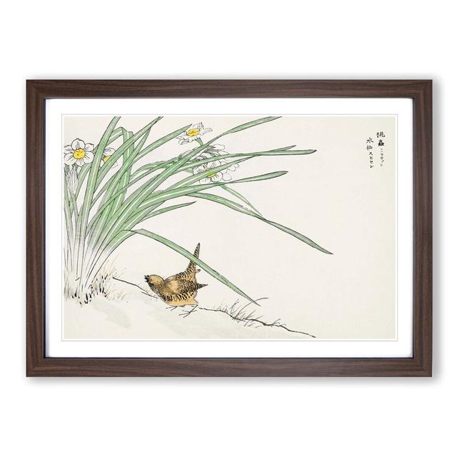 Japanese Wren & Daffodils by Numata Kashu - Picture Frame Painting Print East Urban Home Format: Walnut, Size: 60cm H x 91cm W x 2cm D on Productcaster.