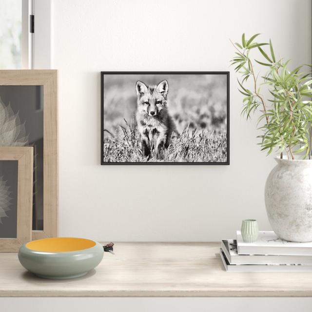 Gerahmtes Wandbild Kleiner Fuchs East Urban Home Größe: 70 cm H x 100 cm B on Productcaster.